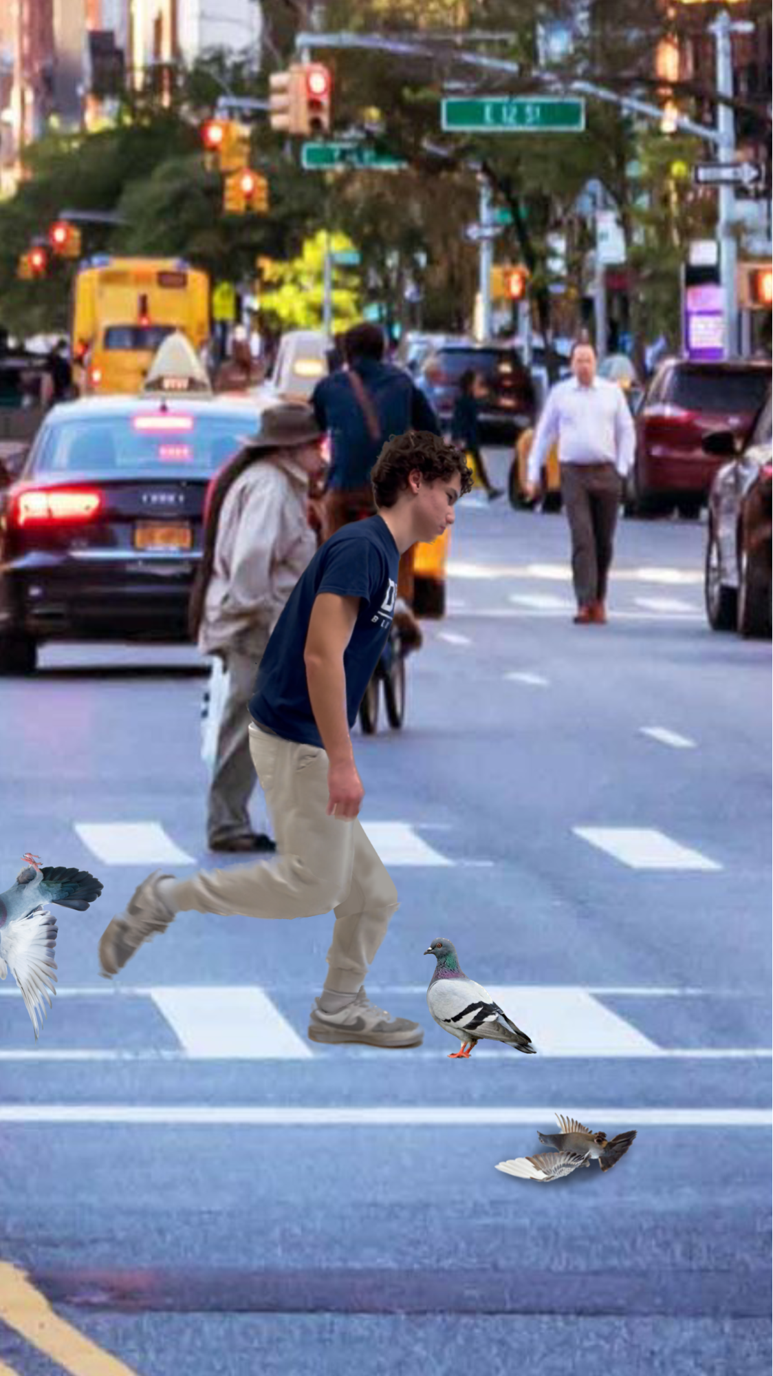 Shall kicks pigeons in a crosswalk.